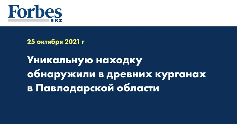 Уникальную находку обнаружили в древних курганах в Павлодарской области