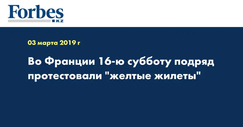 Во Франции 16-ю субботу подряд протестовали 
