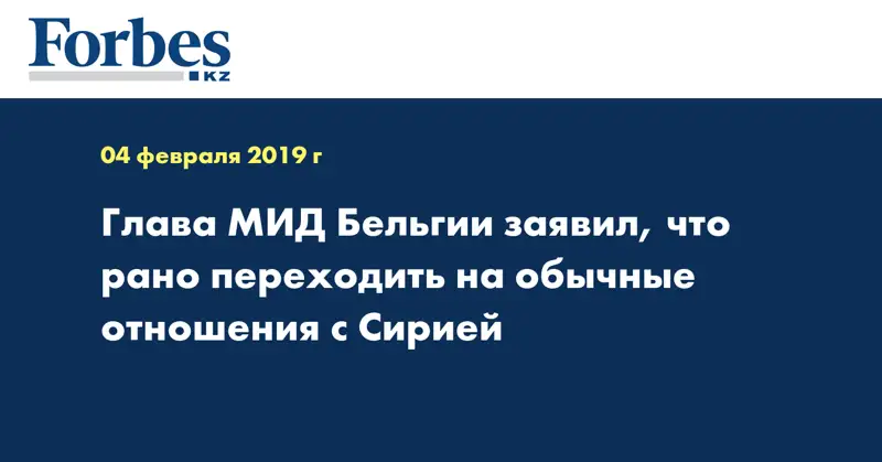 Глава МИД Бельгии заявил, что рано переходить на обычные отношения с Сирией