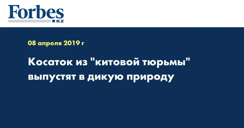 Косаток из 