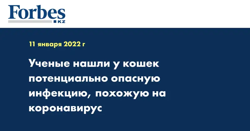 Ученые нашли у кошек потенциально опасную инфекцию, похожую на коронавирус