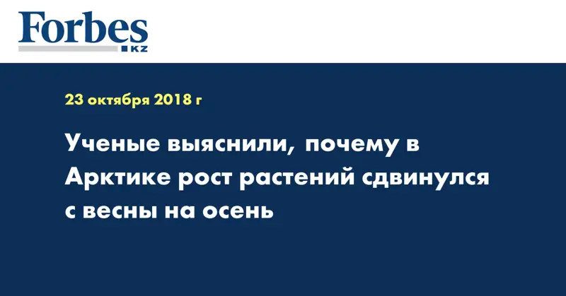 Ученые выяснили, почему в Арктике рост растений сдвинулся с весны на осень