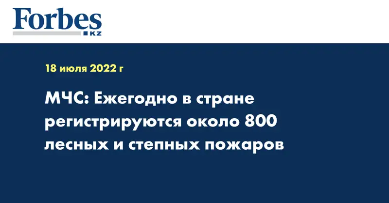МЧС: Ежегодно в стране регистрируются около 800 лесных и степных пожаров