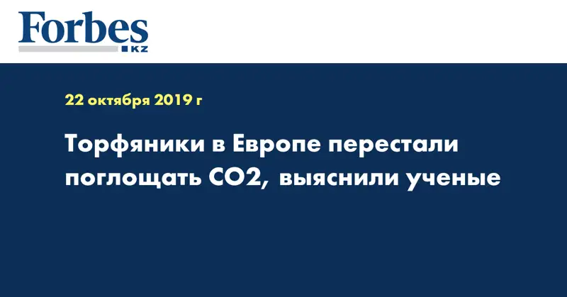Торфяники в Европе перестали поглощать CO2, выяснили ученые