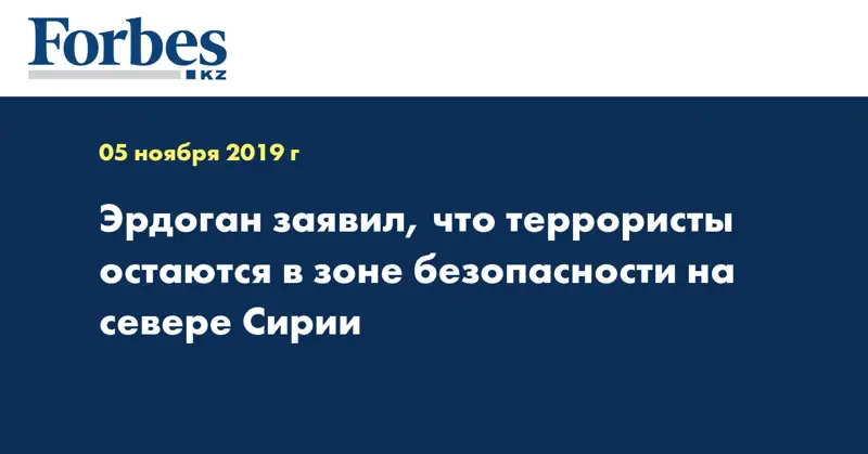 Эрдоган заявил, что террористы остаются в зоне безопасности на севере Сирии