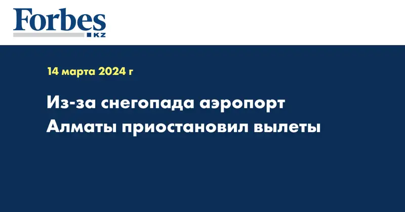Из-за снегопада аэропорт Алматы приостановил работу