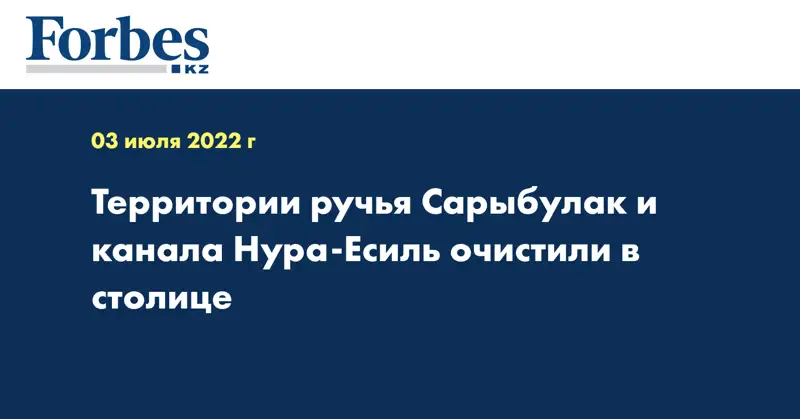 Территории ручья Сарыбулак и канала Нура-Есиль очистили в столице