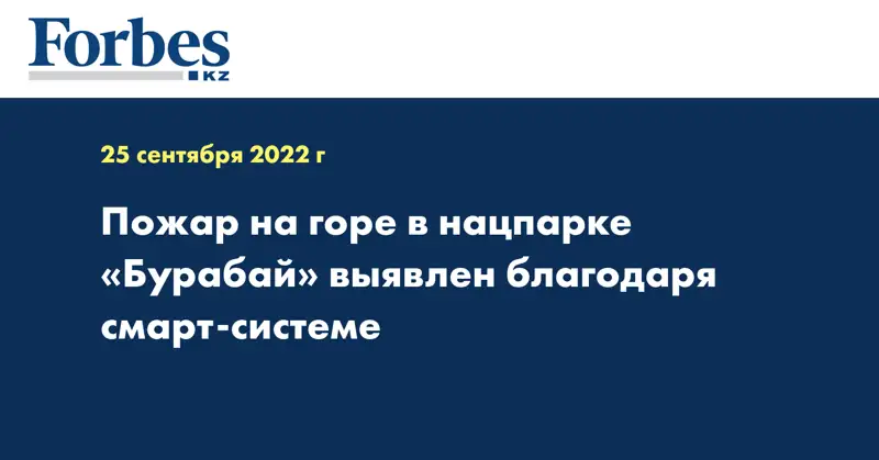 Пожар на горе в нацпарке «Бурабай» выявлен благодаря смарт-системе
