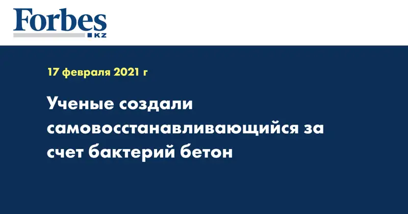 Ученые создали самовосстанавливающийся за счет бактерий бетон