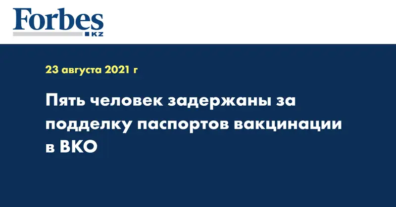 Пять человек задержаны за подделку паспортов вакцинации в ВКО