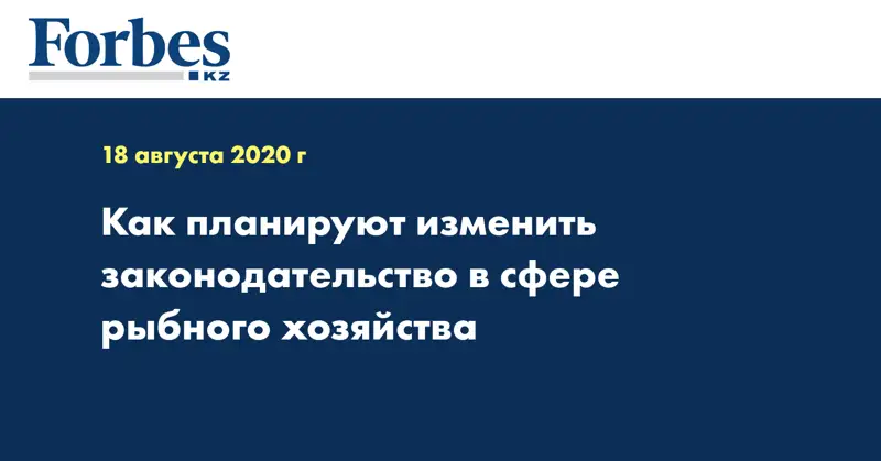  Как планируют изменить законодательство в сфере рыбного хозяйства