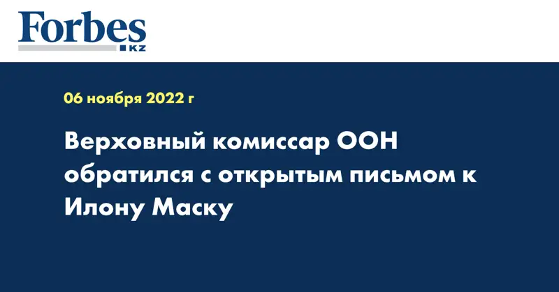 Верховный комиссар ООН обратился с открытым письмом к Илону Маску