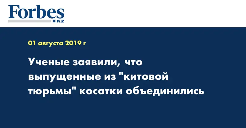  Ученые заявили, что выпущенные из 