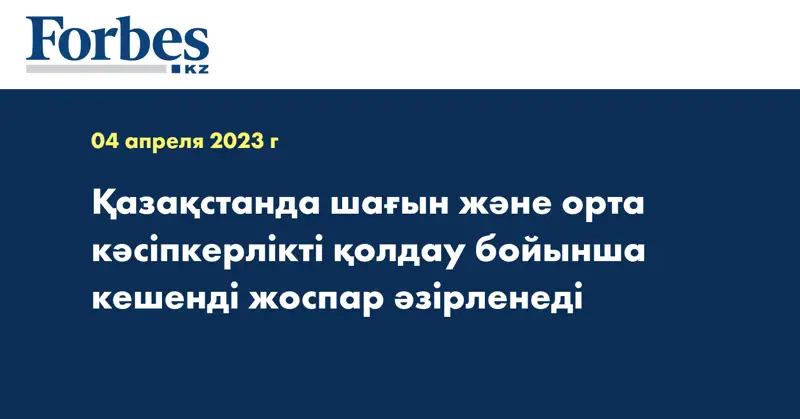 Қазақстанда шағын және орта кәсіпкерлікті қолдау бойынша кешенді жоспар әзірленеді