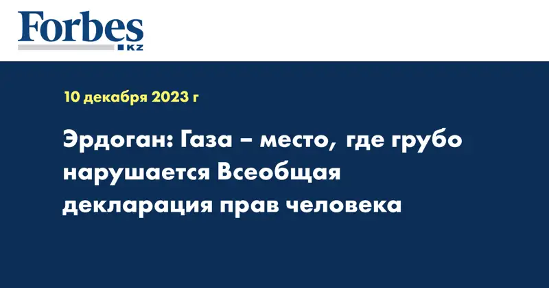 Эрдоган: Газа – место, где грубо нарушается Всеобщая декларация прав человека