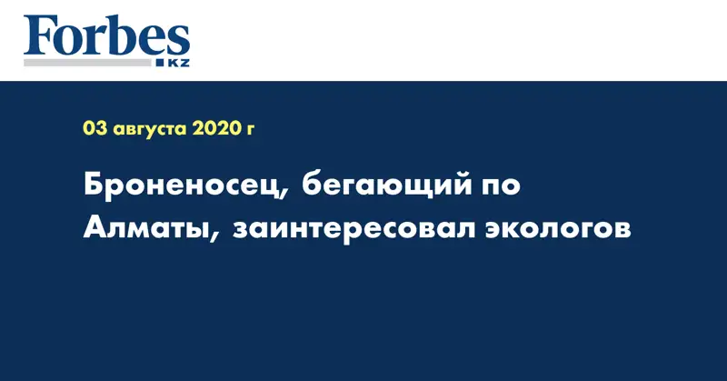 Броненосец, бегающий по Алматы, заинтересовал экологов