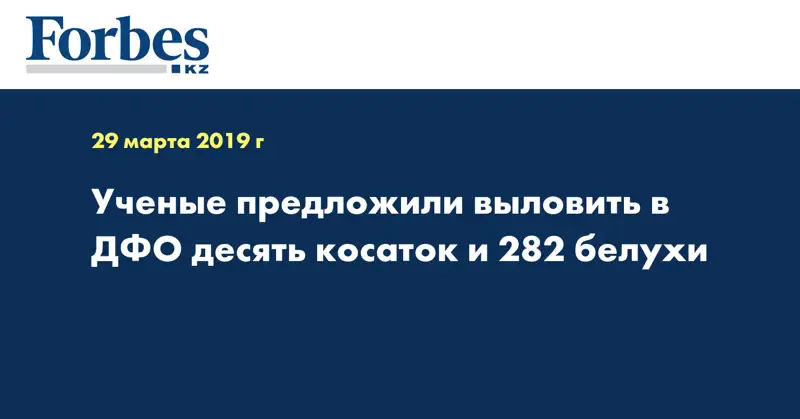 Ученые предложили выловить в ДФО десять косаток и 282 белухи