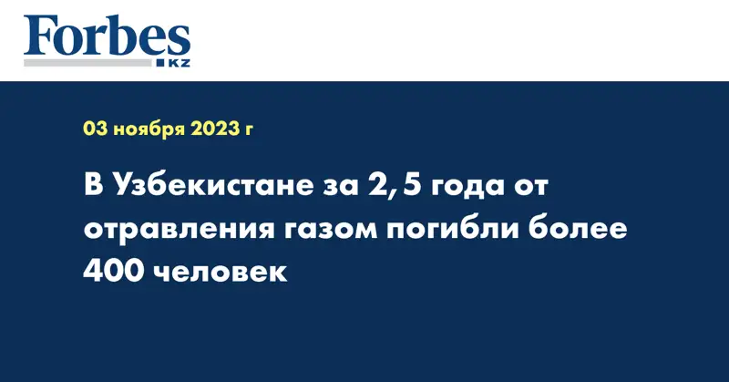 В Узбекистане за 2,5 года от отравления газом погибли более 400 человек 