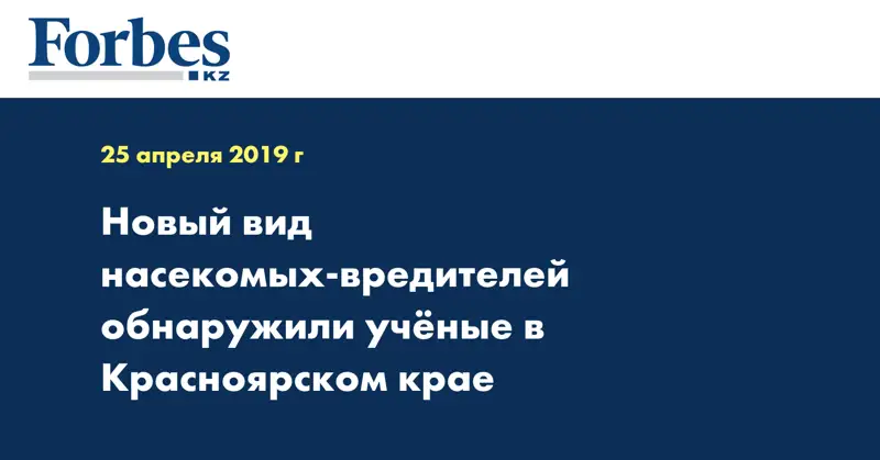 Новый вид насекомых-вредителей обнаружили ученые в Красноярском крае