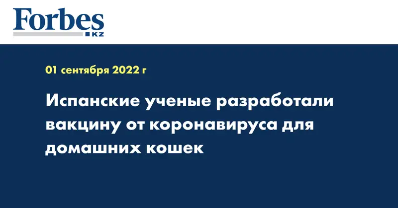 Испанские ученые разработали вакцину от коронавируса для домашних кошек
