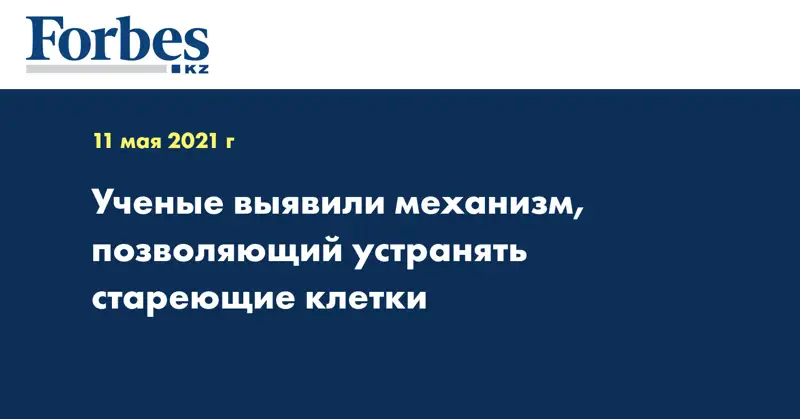  Ученые выявили механизм, позволяющий устранять стареющие клетки
