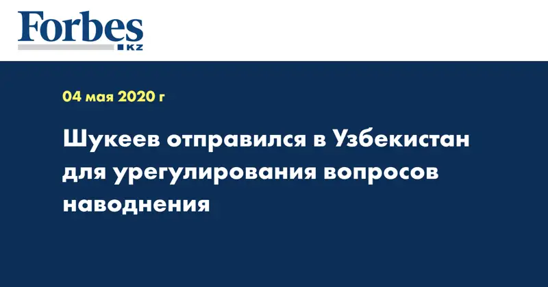 Шукеев отправился в Узбекистан для урегулирования вопросов наводнения