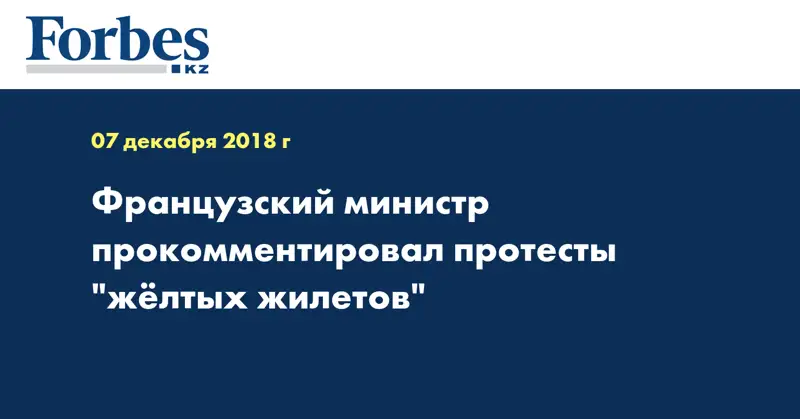 Французский министр прокомментировал протесты 