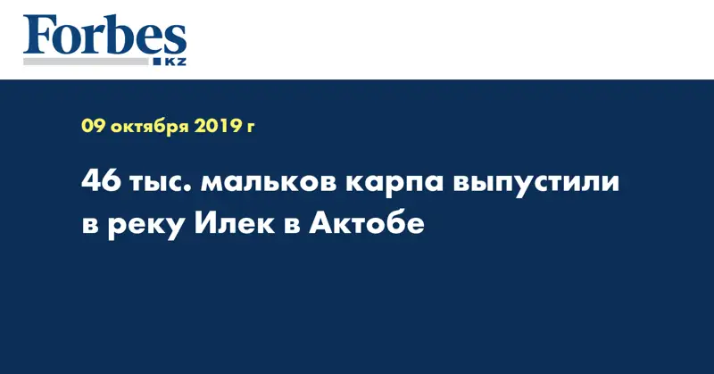 46 тыс. мальков карпа выпустили в реку Илек в Актобе