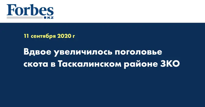 Вдвое увеличилось поголовье скота в Таскалинском районе ЗКО