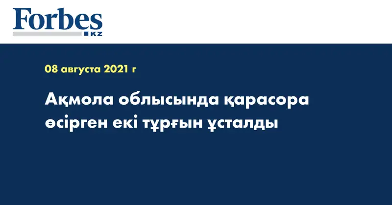 Ақмола облысында қарасора өсірген екі тұрғын ұсталды  