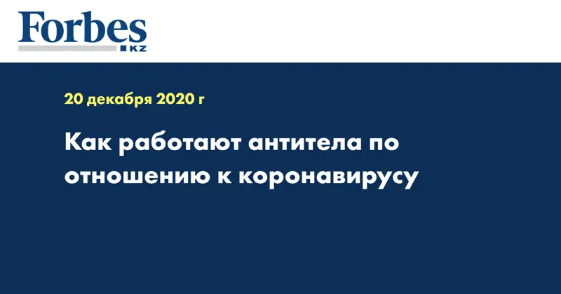 Как работают антитела по отношению к коронавирусу