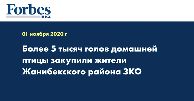 Более 5 тысяч голов домашней птицы закупили жители Жанибекского района ЗКО