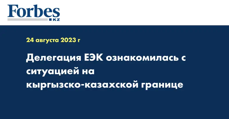 Делегация ЕЭК ознакомилась с ситуацией на кыргызско-казахской границе