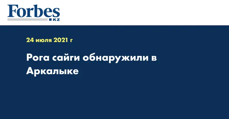Рога сайги обнаружили в Аркалыке  