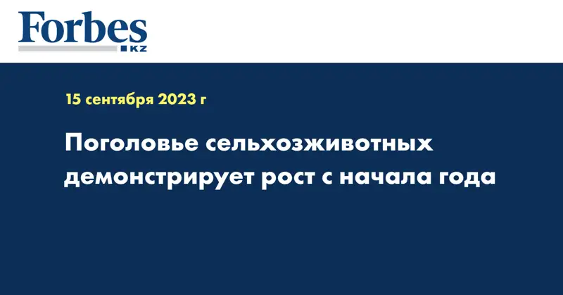 Поголовье сельхозживотных демонстрирует рост с начала года