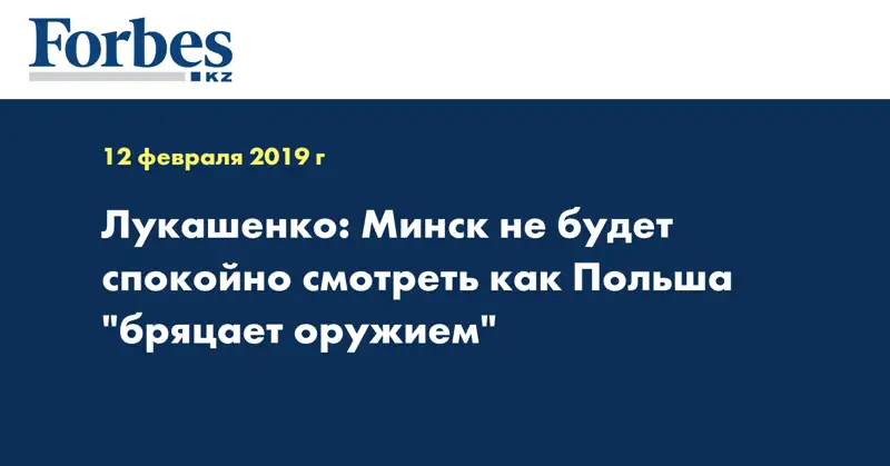 Лукашенко: Минск не будет спокойно смотреть как Польша 
