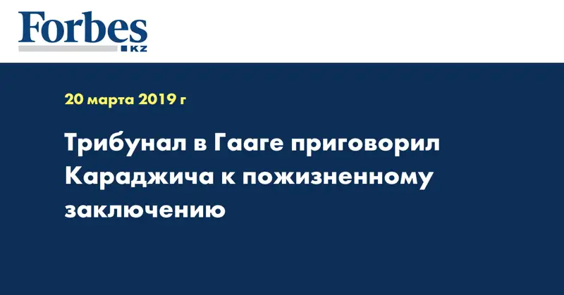 Трибунал в Гааге приговорил Караджича к пожизненному заключению