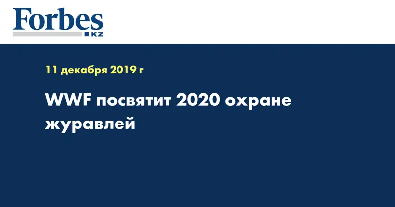 WWF посвятит 2020 охране журавлей