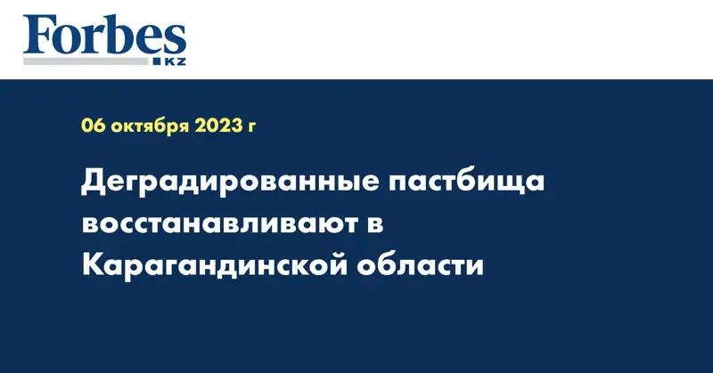 Деградированные пастбища восстанавливают в Карагандинской области