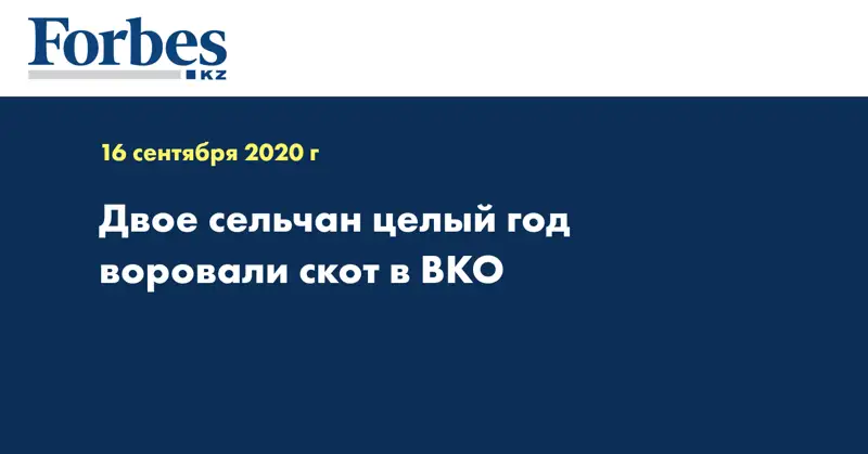 Двое сельчан целый год воровали скот в ВКО  