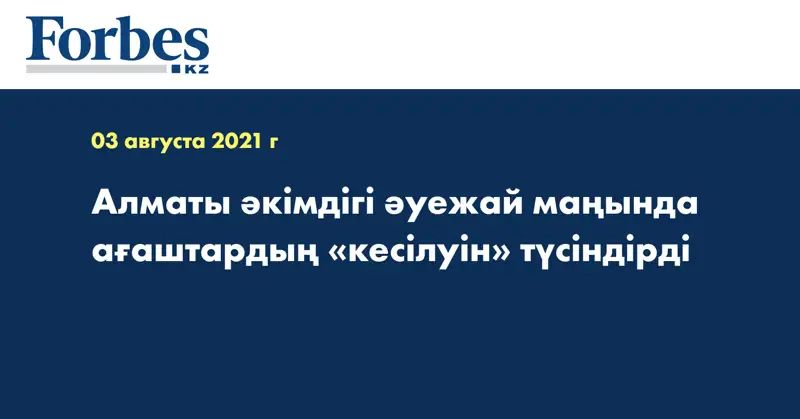 Алматы әкімдігі әуежай маңында ағаштардың «кесілуін» түсіндірді
