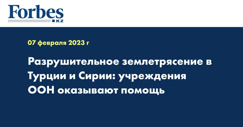 Разрушительное землетрясение в Турции и Сирии: учреждения ООН оказывают помощь