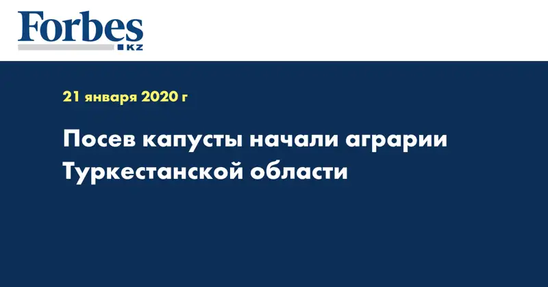 Посев капусты начали аграрии Туркестанской области