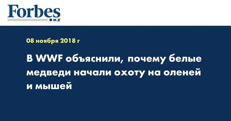 В WWF объяснили, почему белые медведи начали охоту на оленей и мышей