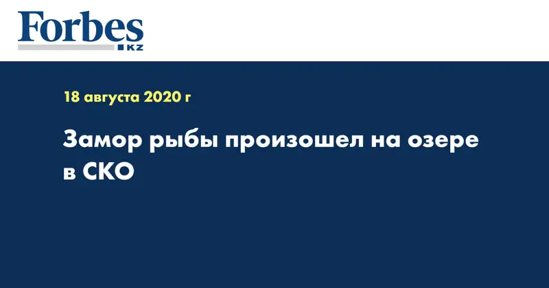 Замор рыбы произошел на озере в СКО