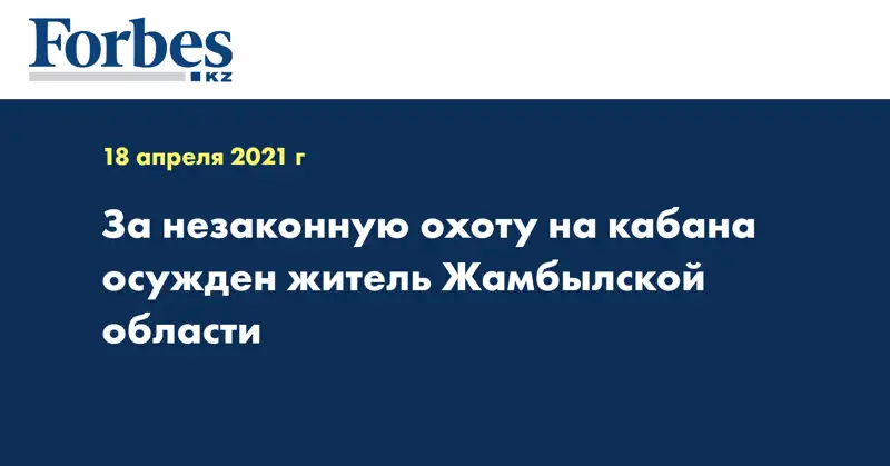 За незаконную охоту на кабана осужден житель Жамбылской области