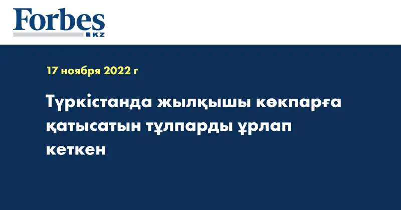 Түркістанда жылқышы көкпарға қатысатын тұлпарды ұрлап кеткен