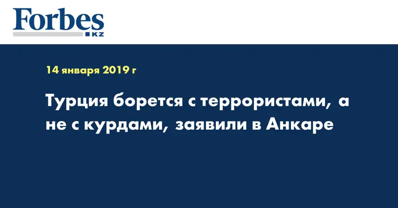 Турция борется с террористами, а не с курдами, заявили в Анкаре
