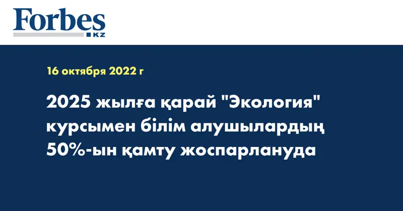 2025 жылға қарай 