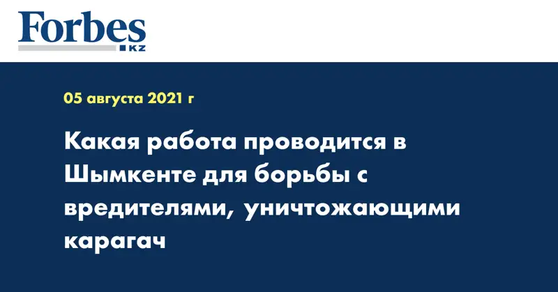 Какая работа проводится в Шымкенте для борьбы с вредителями, уничтожающими карагач